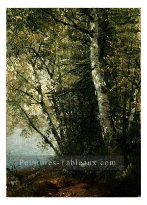 Étude de Beeches luminisme paysage John Frederick Kensett Peintures à l'huile